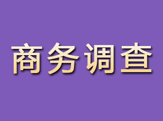 砀山商务调查